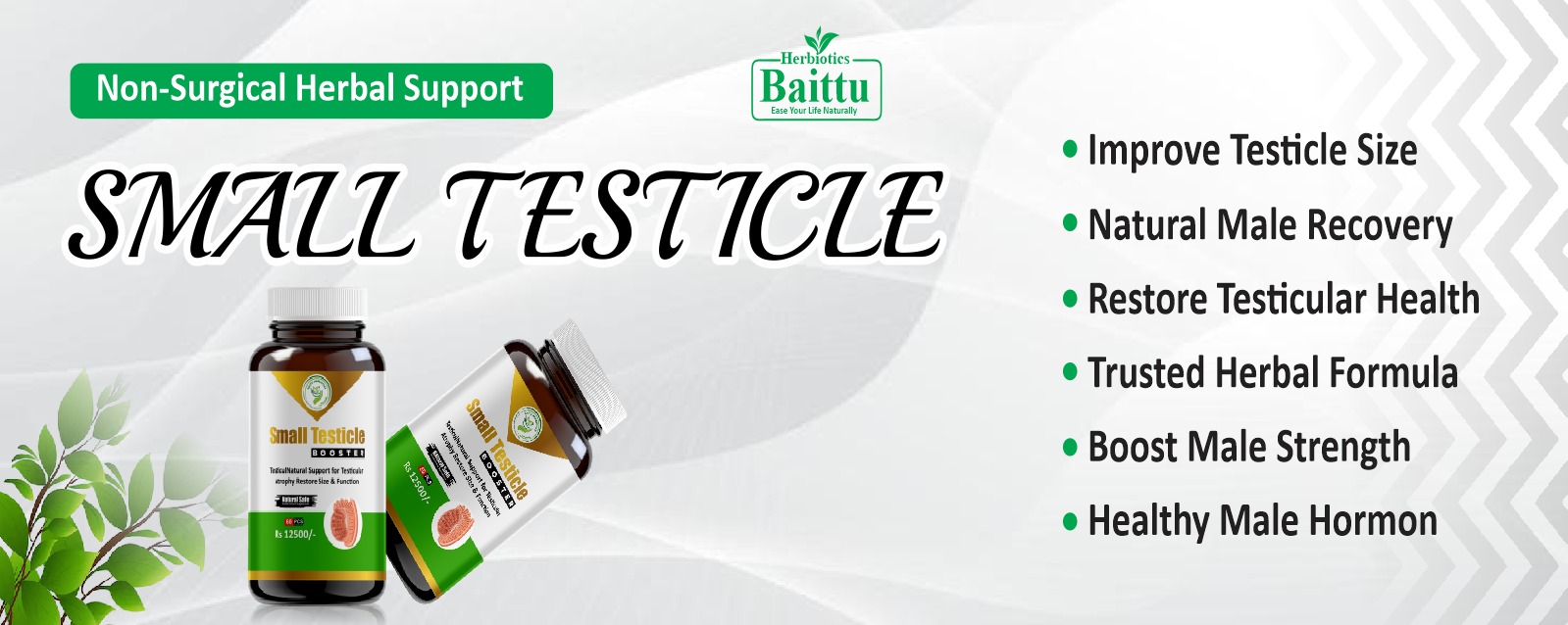 new baner small testicle